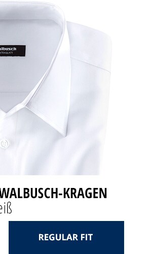 2 Hemden | Walbusch 2 Hemden | Walbusch